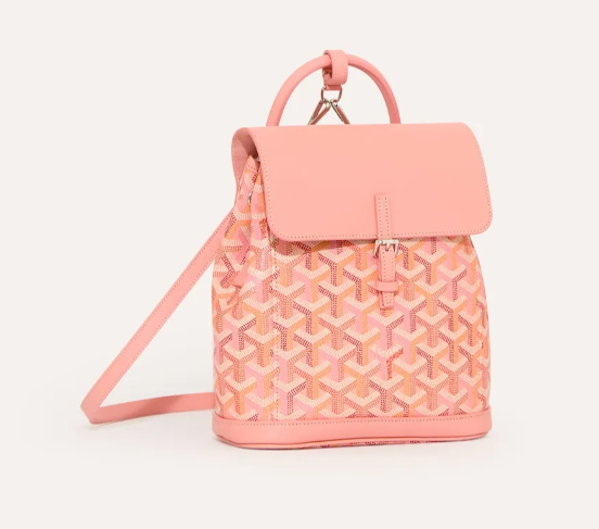 Cisalpin Backpack