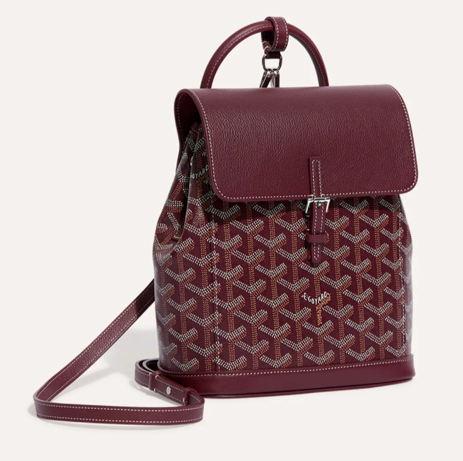 Cisalpin Backpack