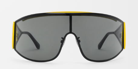 Speed Shield sunglasses
